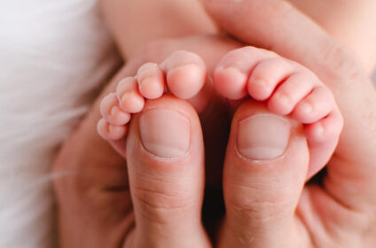 tourbierfotografie banner