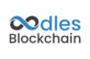 Oodles Blockchain