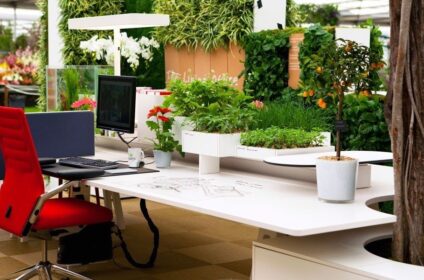 Foliage Indoor Plant Hire