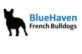 French Bull Dogs