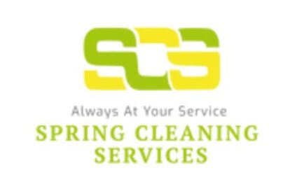 Vinyl floor polishing