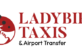 A Ladybird Logo