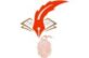 Notary Plus More