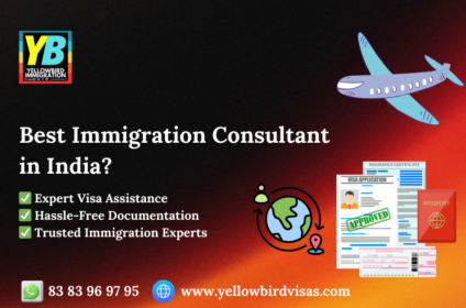 best immigration consultant in india